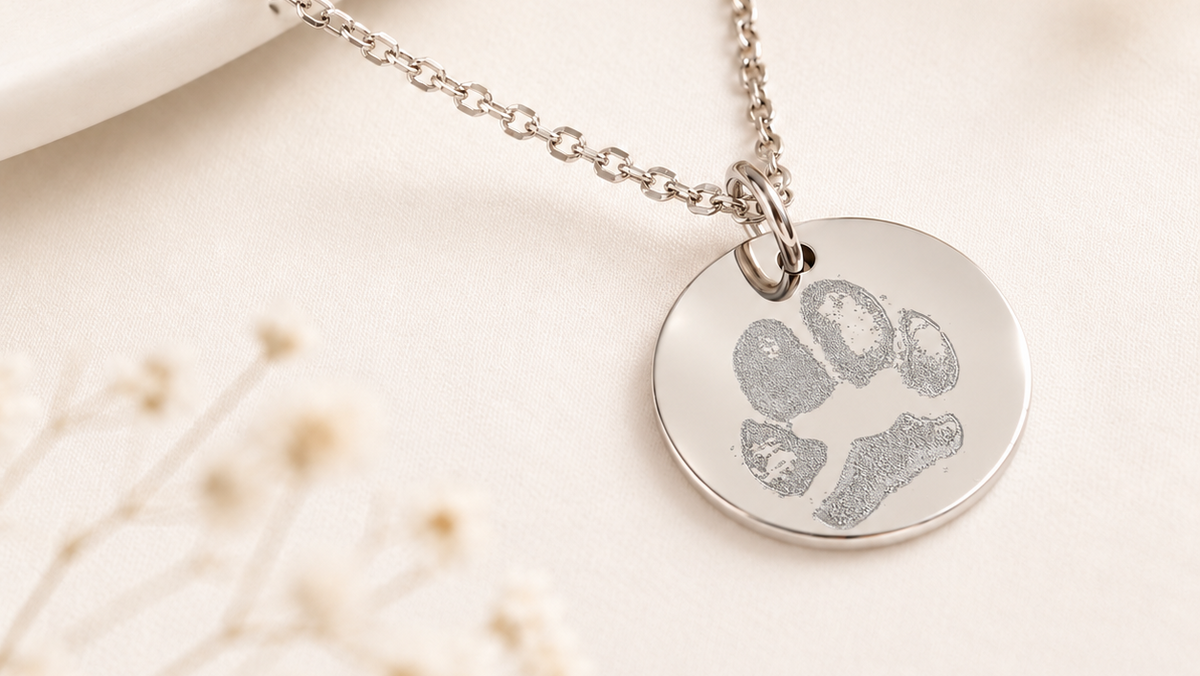 A silver chain necklace with a round disc pendant engraved with a paw print, styled on a light cream surface with dried flowers.